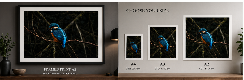 Framed print room presentation with A4, A3 and A2 size examples